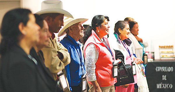 Como-participar-en-el-programa-Palomas-Mensajeras-que-reunifica-a-las-familias-de-migrantes