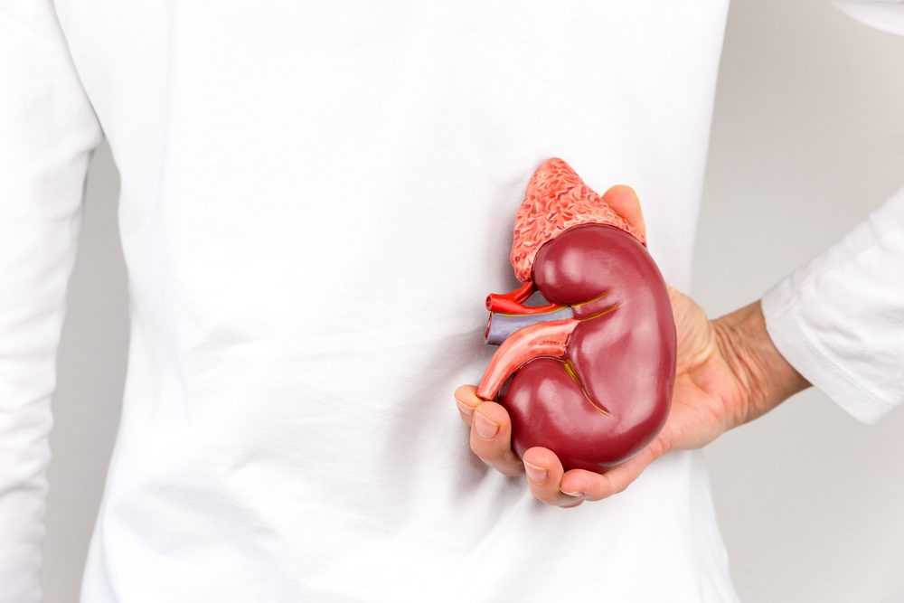 Insuficiencia renal, el verdugo de los riñones