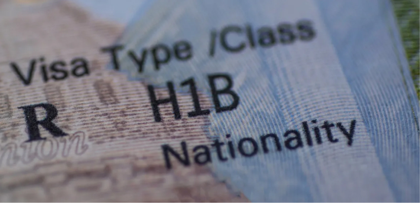 ¿Cuáles son los cinco estados que concentran la mayoría de las visas H-1B?